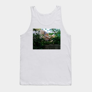 Rhino Tank Top